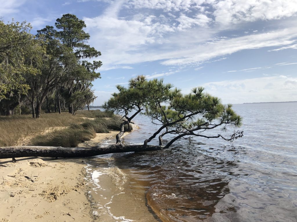 Goose Creek State Park | North Carolina | Kemp Outside